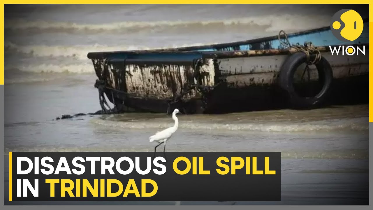 Oil spill in Trinidad & Tobago; 10 miles of coastline affected due to oil spillage | WION