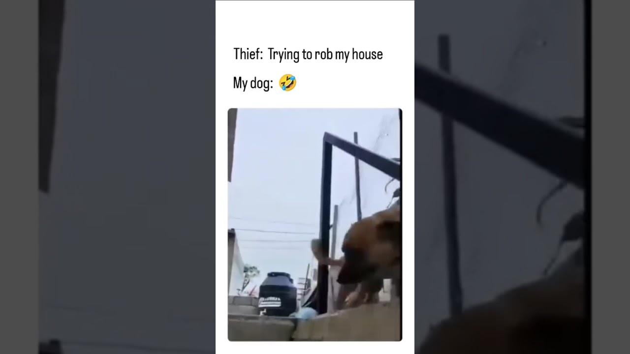 He is like, take me also