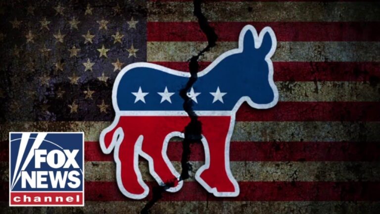 ‘INFURIATING’: Dems on blast for ‘taking the side of criminals’