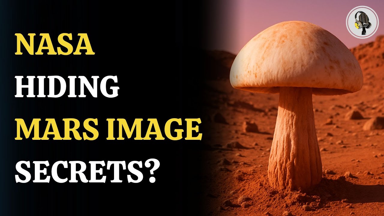 NASA 2013 Mars Mystery: Mushroom Photo Raises Suspicion! | WION Podcast