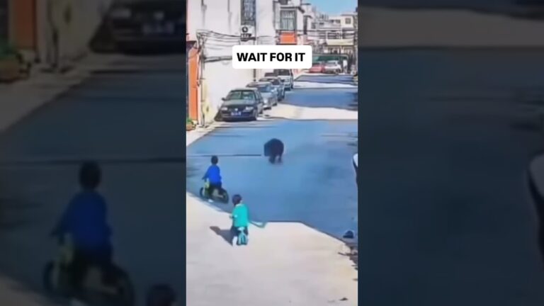 Read him like a book 🤣🤣🤣