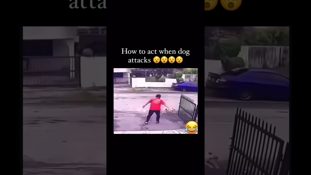 They both had the same energy at the same time 🤣😂😂