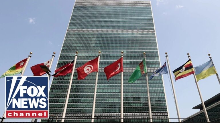 WATCH LIVE: Emergency UN session after US attacks Iran nuclear sites