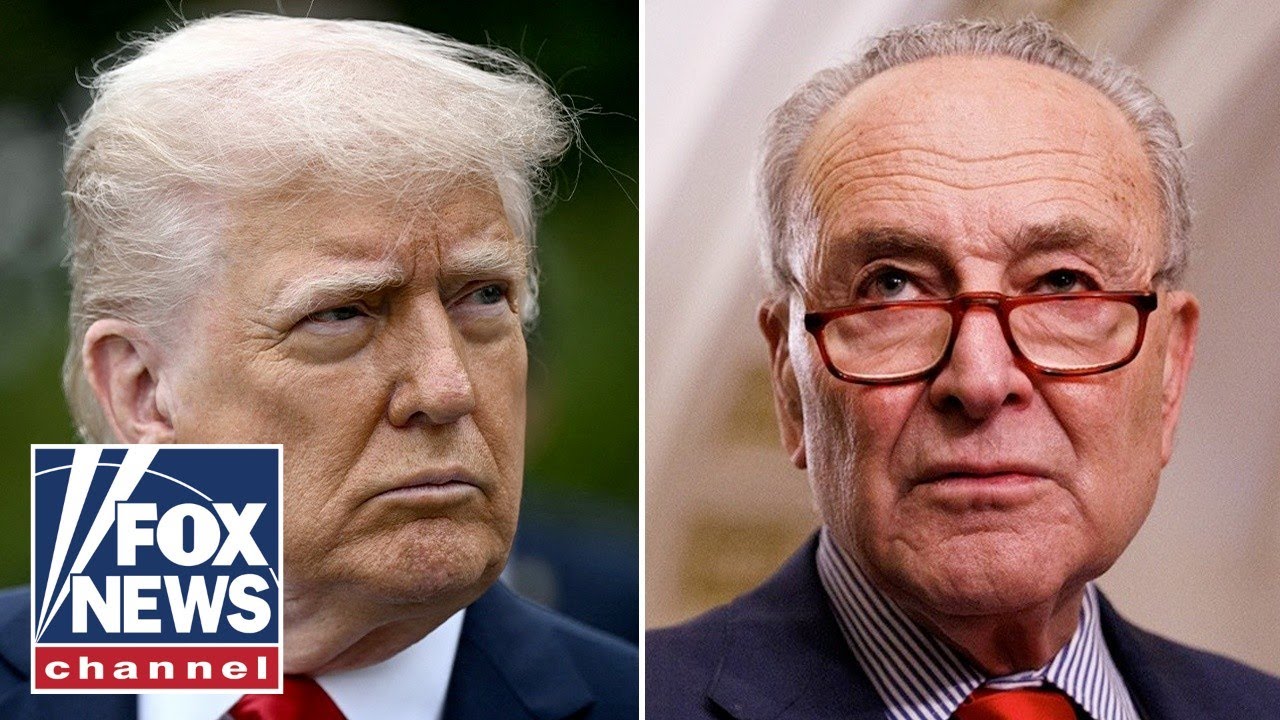 ‘What are they afraid of?’: Schumer takes aim at Trump